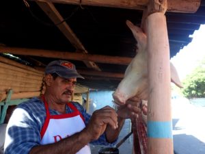 When I said the pork was fresh, I meant it. And, yeah, he's shaving this pig's snout, LOL!